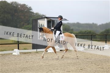 181894_mtp_04_R62_3547.JPG