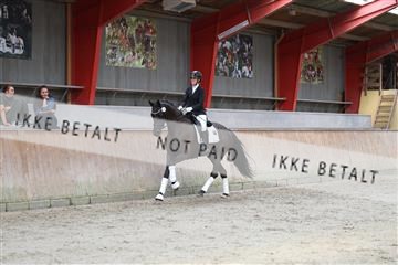 181867_mtp_02_R62_4883.JPG