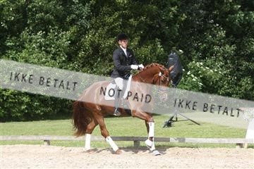 135518_ms_02_IMG_2831.JPG