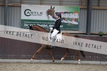 171210_mtp_01_3M5A6414.JPG