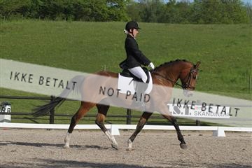 135086_sg_01_IMG_1786.JPG