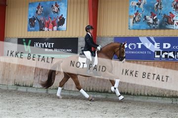 181867_mtp_01_R62_4173.JPG