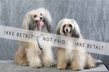 129608_le_ 01_0608.JPG