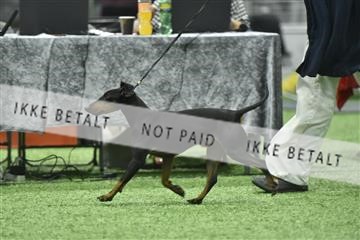 163793_bkn_01__BKN8975.JPG