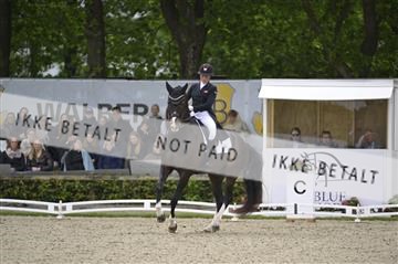 181449_kbb_04_Z095683.JPG