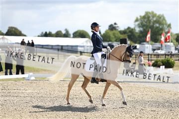 181894_mtp_02_R62_1480.JPG