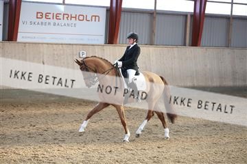 173782_mtp_01_3M5A7845.JPG