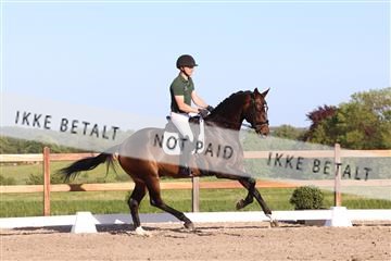 181449_bc_01R62_6462.JPG