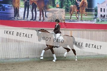 181887_mtp_01_R62_7138.JPG