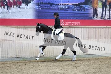 181887_mtp_04_R62_9354.JPG