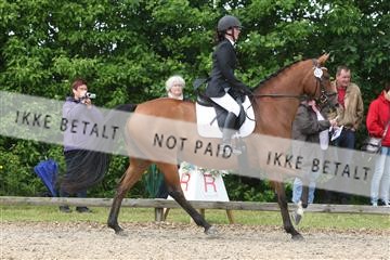 135518_ms_01_IMG_1428.JPG