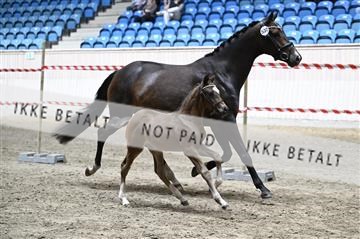 181754_kbb_01_Z093613.JPG