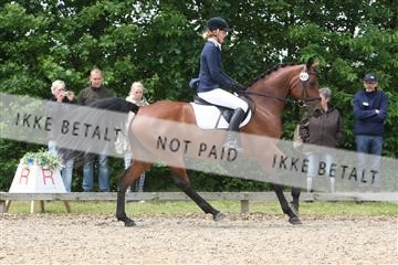135518_ms_01_IMG_1569.JPG