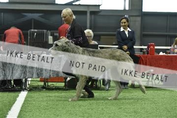 163793_bkn_01__BKN9363.JPG
