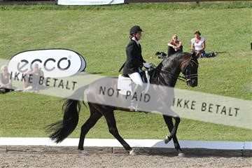 135676_sg_03_IMG_9840.JPG