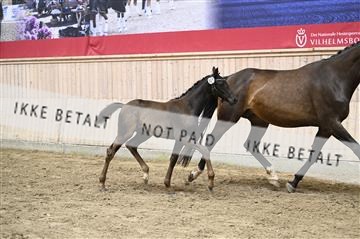 181754_kbb_01_Z093917.JPG