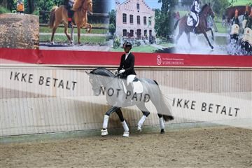 181887_mtp_05_R62_9619.JPG