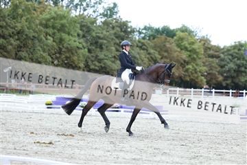 181923_mtp_04_R62_8774.JPG