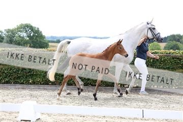 174806_jss_03_R6II2078.JPG