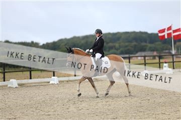 181894_mtp_04_R62_3706.JPG
