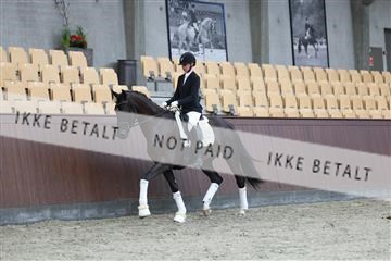 181852_mtp_03_R62_2343.JPG