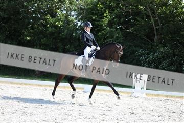 172073_mtp_01_3M5A4744.JPG