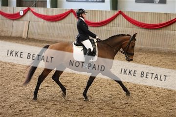 171342_mtp_01_3M5A7626.JPG