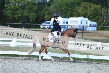 181894_mtp_05_R62_5404.JPG