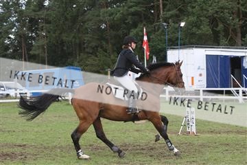 5925_ma_05_IMG_0676.JPG