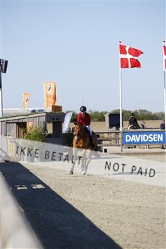 181332_kbb_01_6II3490.JPG