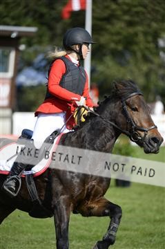 144548_abo_01__ab13537.JPG
