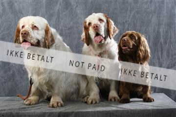 129608_le_ 01_0724.JPG