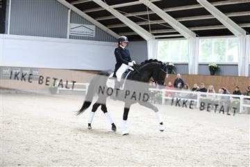 179088_mtp_01_3M5A3459.JPG