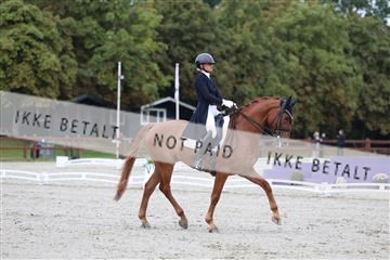 181923_mtp_01_R62_6200.JPG