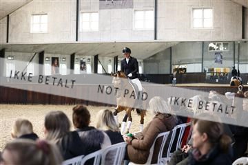 181243_avh_01_2521 2.JPG