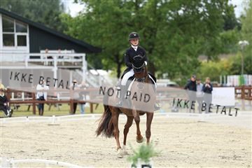 181923_mtp_03_R62_7320.JPG