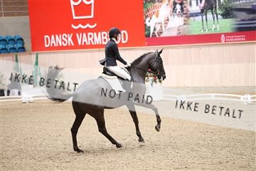 174186_kbb_01_R6II4559.JPG