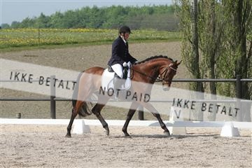 135086_sg_01_IMG_0060.JPG