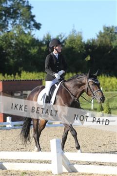 148862_sg_01_IMG_2442.JPG