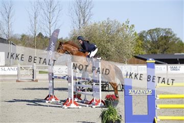 181332_kbb_01_6II3416.JPG