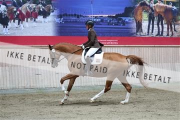 181887_mtp_01_R62_7101.JPG