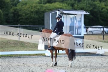 181894_mtp_05_R62_5332.JPG