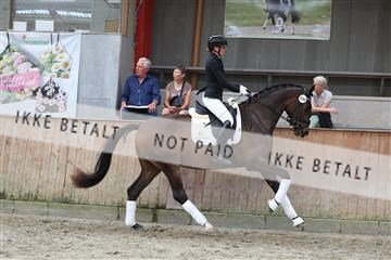 181867_mtp_02_R62_4816.JPG