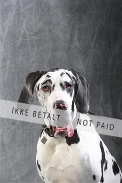 129608_le_ 01_0690.JPG