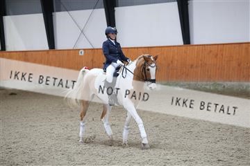 175681_avh_01_R62_0710.JPG