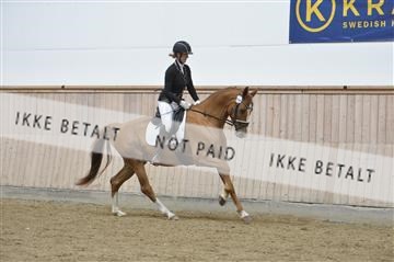 160111_nn_01__ESK1697.JPG