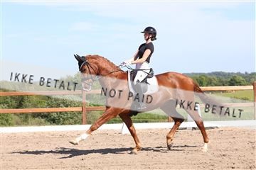 181449_bc_01R62_5956.JPG