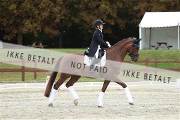 181923_mtp_03_R62_7942.JPG