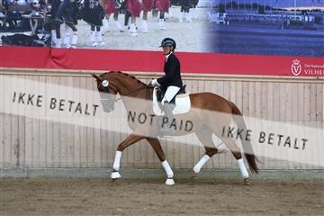 181887_mtp_02_R62_7424.JPG
