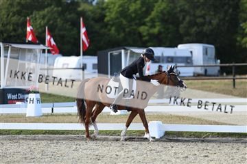 181894_mtp_05_R62_5233.JPG